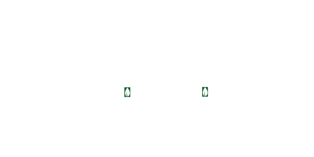الرياض جاردن (4)